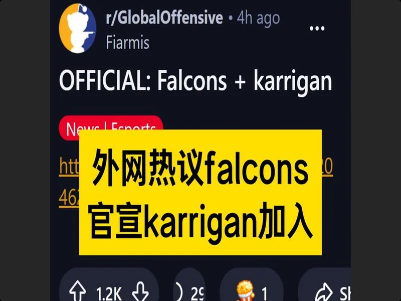 官宣：karrigan加盟Falcons
